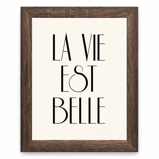 Paris, Mon Belle Vie