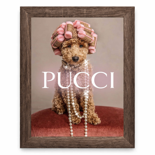 Pucci