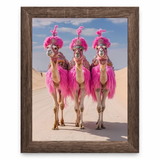 Desert Divas