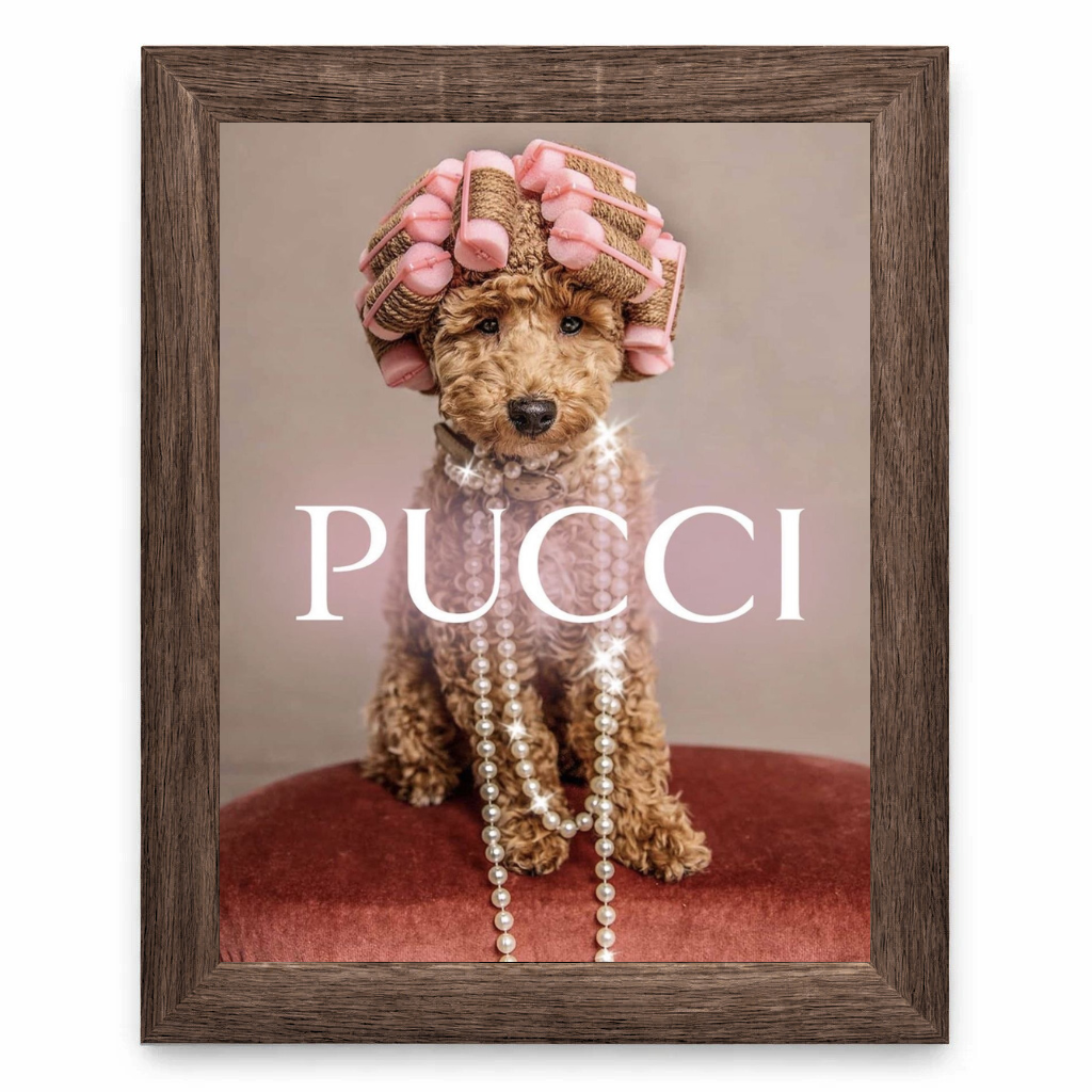 Pucci