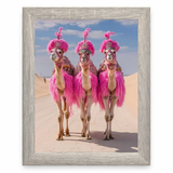 Desert Divas
