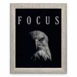 Eagle Focus