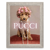 Pucci