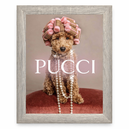 Pucci
