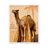 Prepared Camel