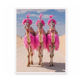Desert Divas