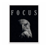 Eagle Focus