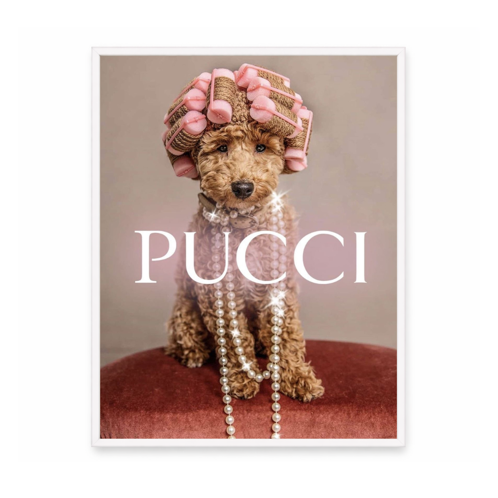 Pucci