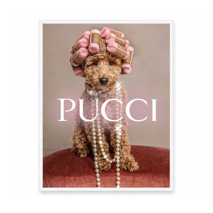 Pucci