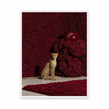 Red Kingdom