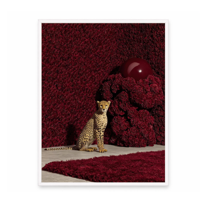 Red Kingdom