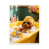 Spa Day