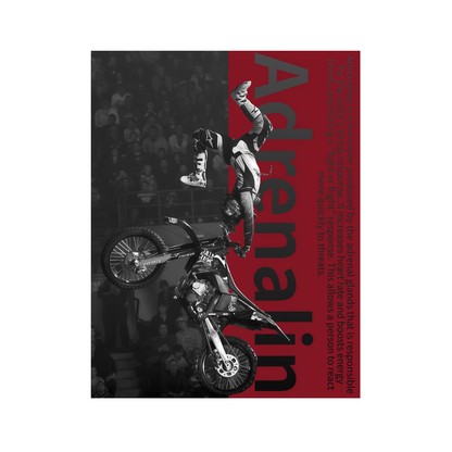 My Adrenaline