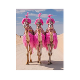 Desert Divas