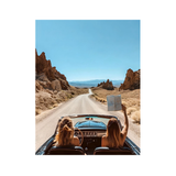 If We Get Lost, Good