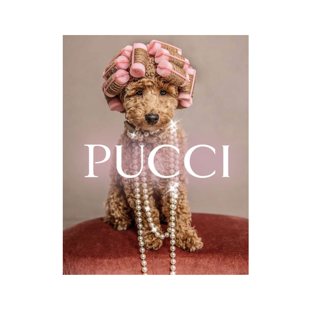 Pucci