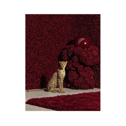 Red Kingdom