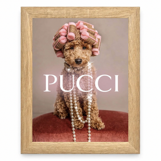 Pucci